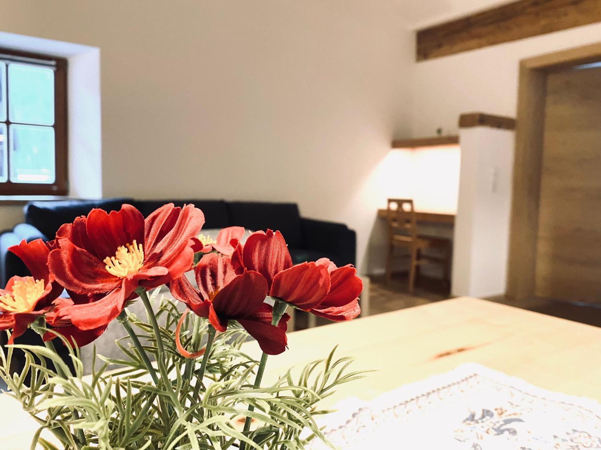 Steinergut Apartments سانكت مارتن باي لوفر المظهر الخارجي الصورة